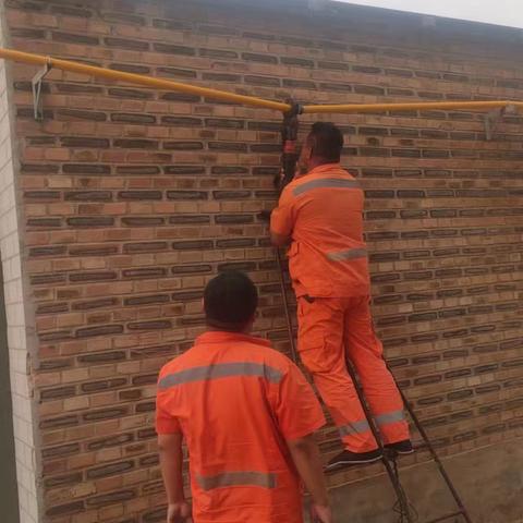 张家营一周工作纪实