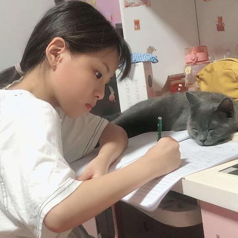 我得妈妈是猫奴，所以家里好多猫，妈妈跟我说你接受猫咪得可爱就要接受他们的掉毛