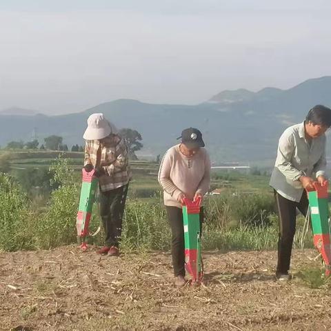 北峪村第一网格员   刘琴科6月份记录