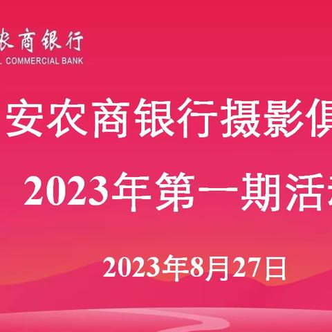 :2023年朱玥凝署期活动