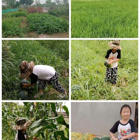 缤纷暑假，快乐生活！菁菁小学一（三）班许乐