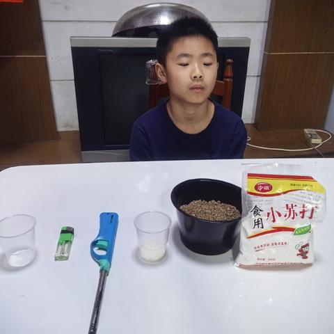 大家好，我是五（4）班的杨思诚，今天我要做的实验是《火蛇秀》。实验所需材料：小苏打、白糖、酒精、沙子，搅棍棒、点火器