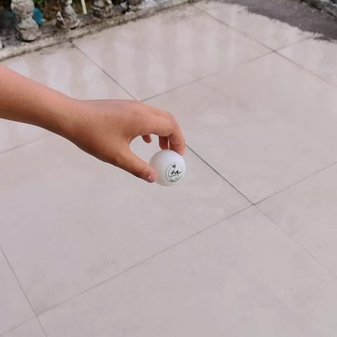 大家好，我是杨思诚，今天要做的实验是《一个拿手里一个放水杯，松手后哪个乒乓球弹的高?》
