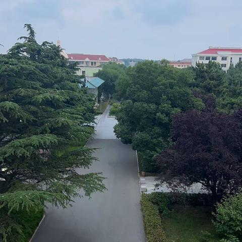 放学路上的风景