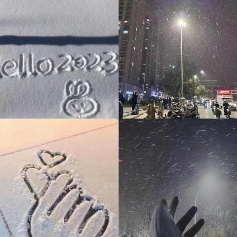 小青竹与雪共“舞”