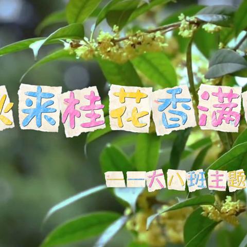 大八班主题探索活动