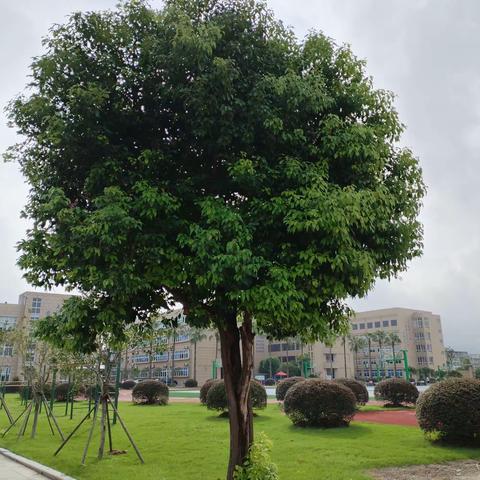 初秋的相遇…2023级江南1班（5）