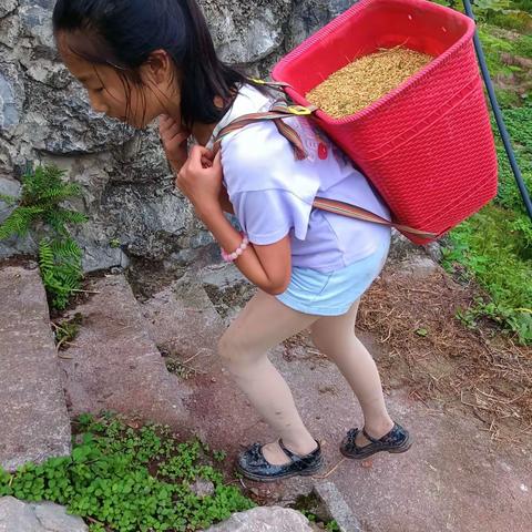 多彩假期，暑我最棒