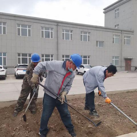 公主岭市万禄水泥制造有限公司全体员工“种花除草，美化环境”义务劳动