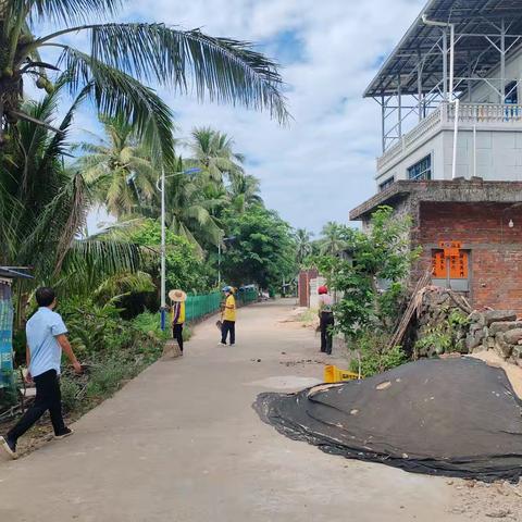 五里村开展人居环境整治行动