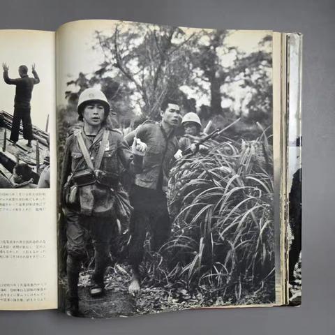 老照片里的抗战记忆：郑皇茂（二娂）与儋县游击队的烽火岁月