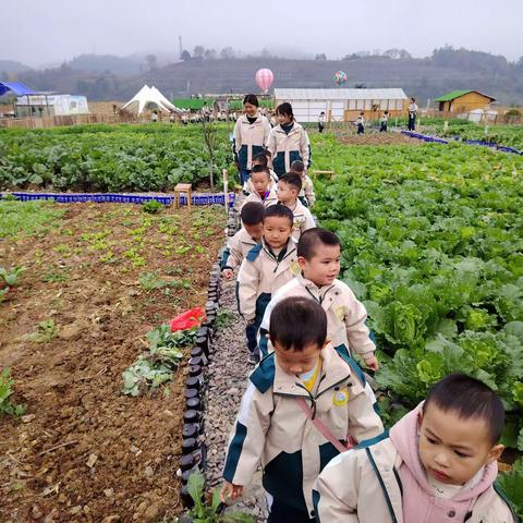 研有所见，学有所获——群艺幼儿园小一班研学活动记录