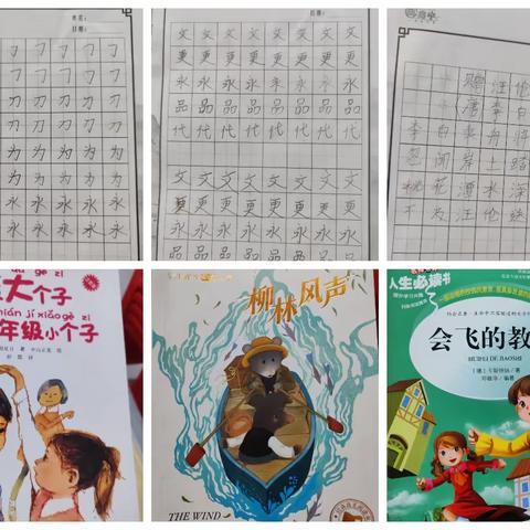 我的二年级暑假