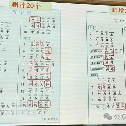 2024统编小学一年级语文（上册）新修订教材培训纪要