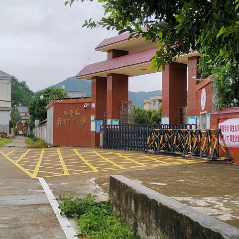 武平县紫阳小学家长文明接送学生倡议书