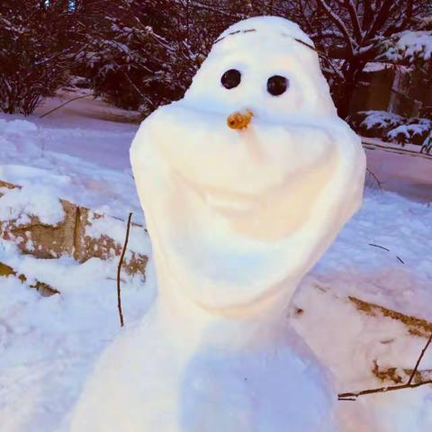 筑梦冰雪，同向未来——明德小学“吉林省冰雪嘉年华”系列活动