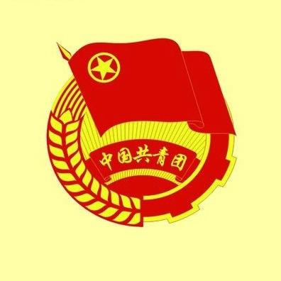 南皮县寨子中学举行2024年入团仪式