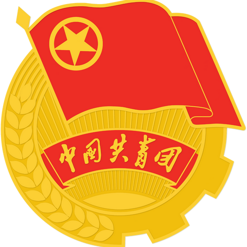 以青春之名 赴入团之约———南皮县寨子中学入团仪式