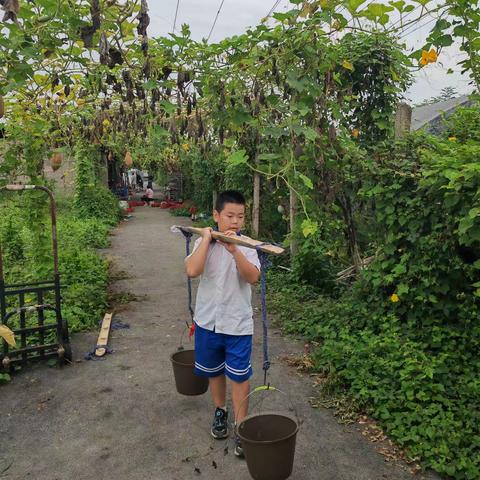 我的快乐暑假农耕实践生活