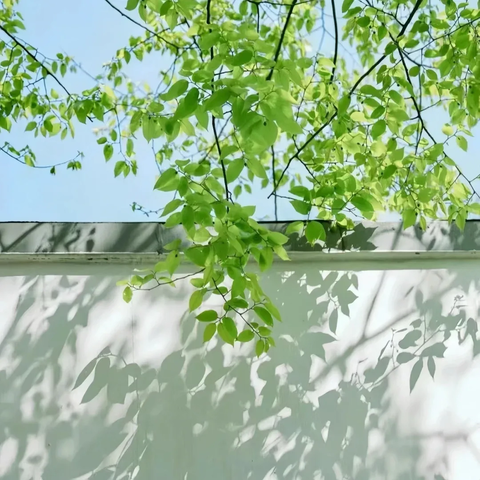 杨陵区物业管理有限公司-永安小区物业部