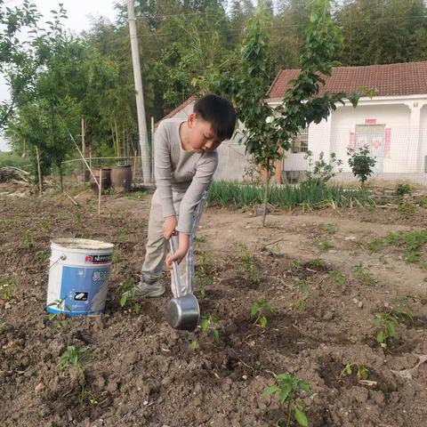 学习二十大  争做好队员——实验小学二七中队刘芃宇2023年暑假少先队实践活动