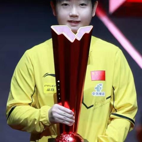 我关注的体育赛事 ——2025WTT新加坡大满贯