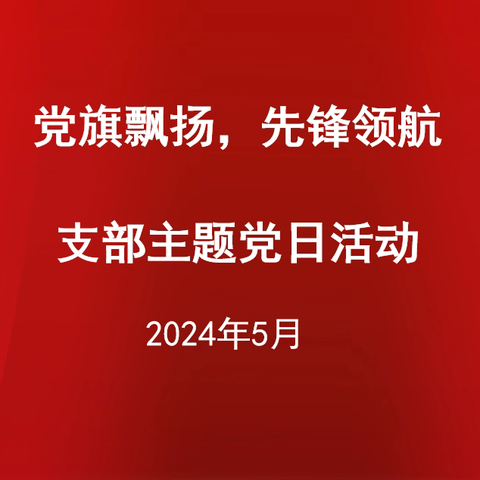 “党旗飘扬 先锋领航”  主题党日活动