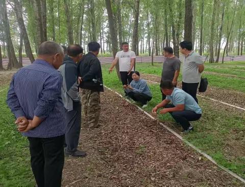 九龙乡新风村：种植赤松茸促增收，壮大村级集体经济