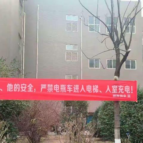 【丹凤朝阳】丹凤门社区警社联动共建共治保安全