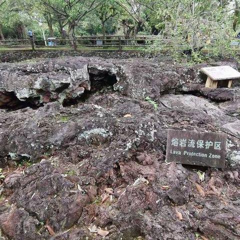 【鲁铭】我的暑假生活