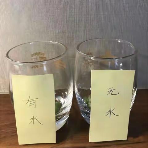 科学网络日志