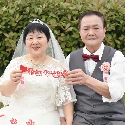 晨阳的文章