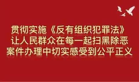 贯彻落实《反有组织犯罪法》 将扫黑除恶进行到底