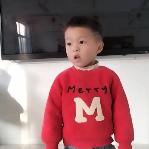 快乐轮胎——汇鑫街道中心幼儿园希望分园小班第十周活动锦集