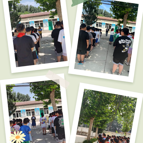 东杨先务小学第十六周工作总结