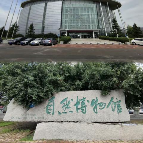 福满春蕾幼儿园走进自然博物馆 社会实践活动—“探秘自然 感受生命神奇”