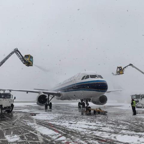 风雪漫天  共克时艰