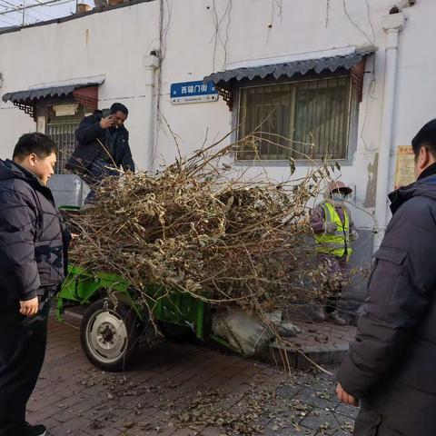 泉城路街道芙蓉街社区 一心为民排忧解难 清理危树人人点赞