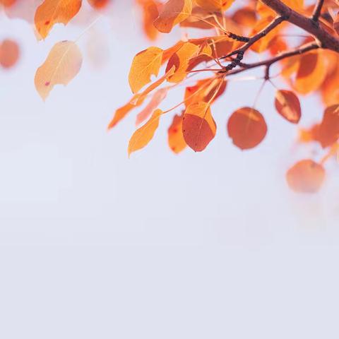 招商雍和府物业服务周报                        （9月4日-9月10日）