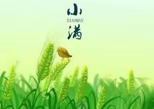 【西电幼儿园】小班🌾二十四节气之小满——小满小满，幸福满满。