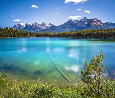 油田四小三四班光芒社团  小足迹丈量大山河
