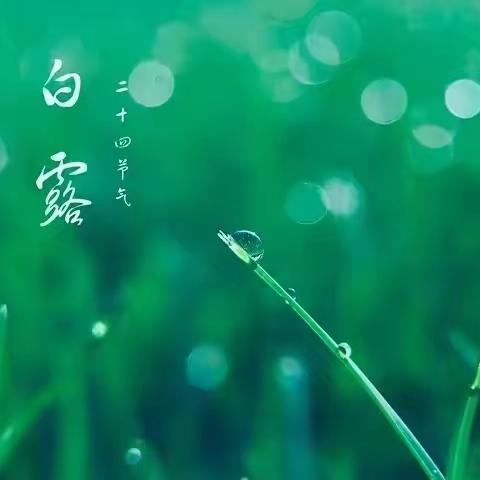 白露--童言童语讲节气