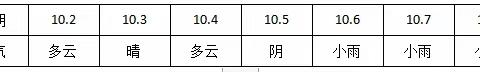 国投·新涵首府项目周报