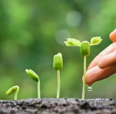 【胜利小学】童心向阳 “苗”绘未来——胜利小学远程种植活动启动仪式