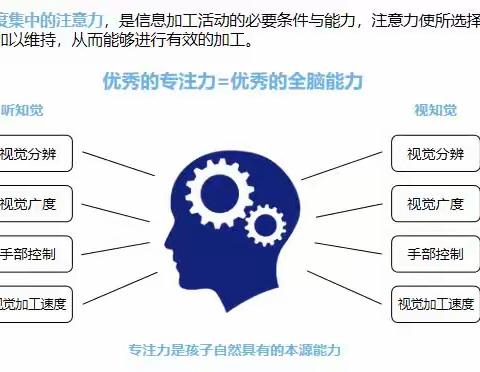 飞飞博士专注力训练营 招生简章