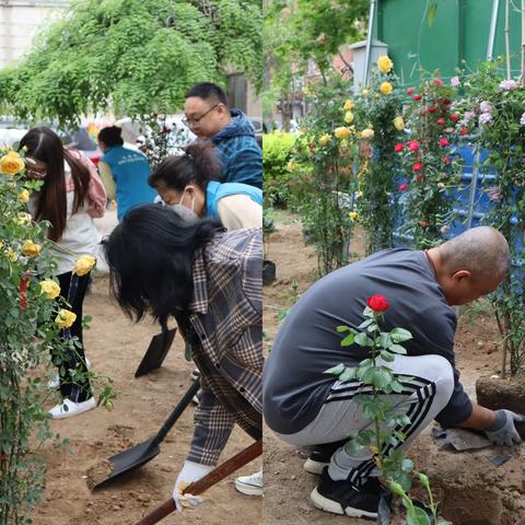 变形记1️⃣“街角的蜕变”