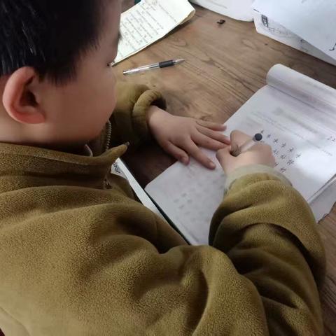 濮阳县第四实验小学三年级12班董易轩的寒假生活