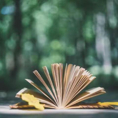 【阅读·悦心·约未来】——王庄镇中心小学三·（6）班读书活动回顾与展示