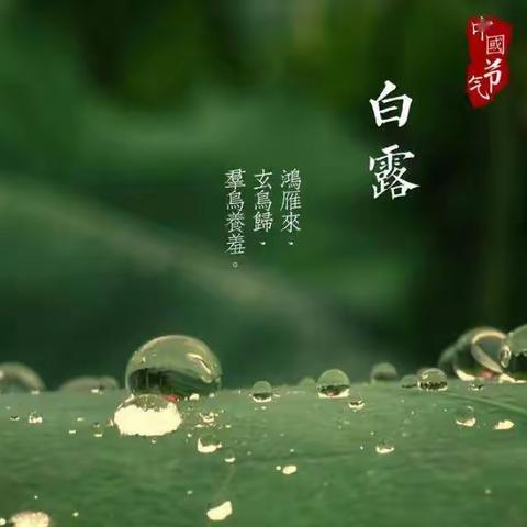 写给教师节前的你我