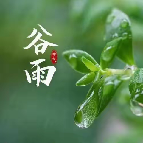 分教点第12周教学计划